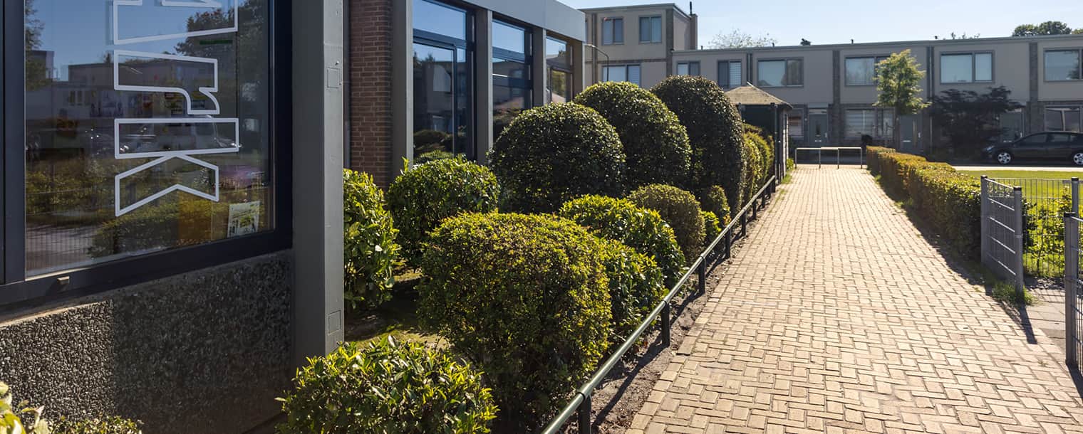 Frank Bosmans Hoveniers-tuinaanleg-04