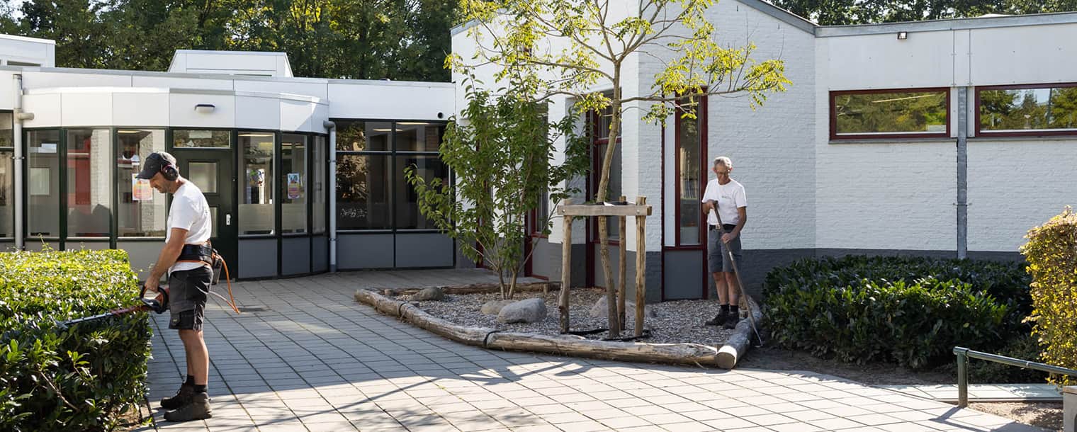 Frank Bosmans Hoveniers-tuinonderhoud-03